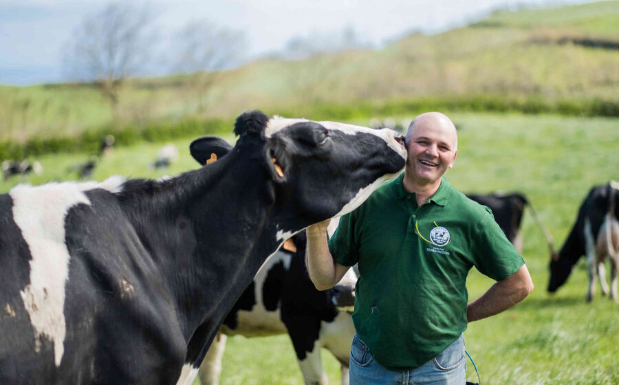 Produtor Terra Nostra e vaca nos Açores, num programa de sustentabilidade