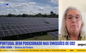 Entrevista a Luísa Loura.mp4