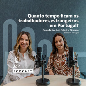Quanto tempo ficam os trabalhadores estrangeiros em Portugal?
