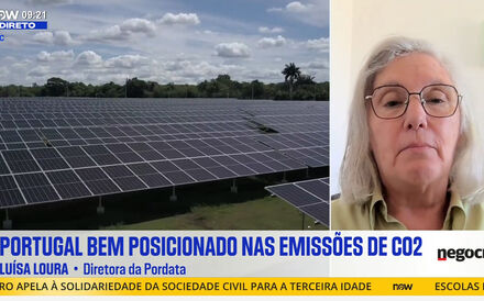 Entrevista a Luísa Loura.mp4