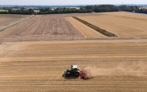 Calor e seca prolongados causaram um impacto 'significativo' nas colheitas de verão na Europa.