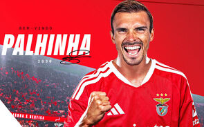 Benfica anuncia João Palhinha