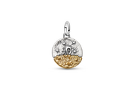 Medalhão Leão Pandora TALISMAN em prata 925 e liga metálica de assinatura com revestimento de ouro 14k, €59
