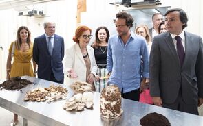 Inauguração da nova unidade de produção de cogumelos da empresa Nam, com a presença de representantes do grupo Nabeiro - Delta - e da Ministra do Ambiente e Energia.