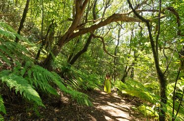 Tenerife: quando o destino também é parte do negócio
