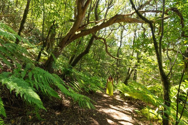 Tenerife: quando o destino também é parte do negócio