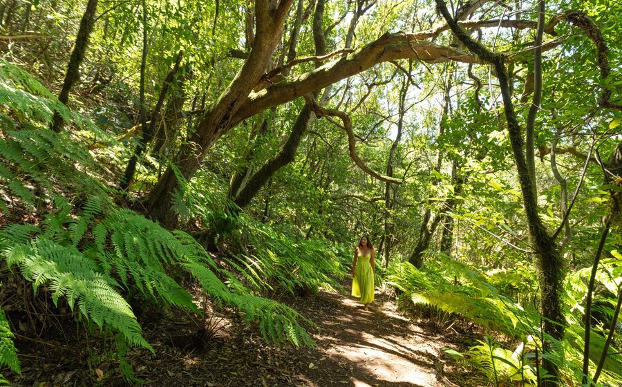 Mulher passeia numa floresta em Tenerife