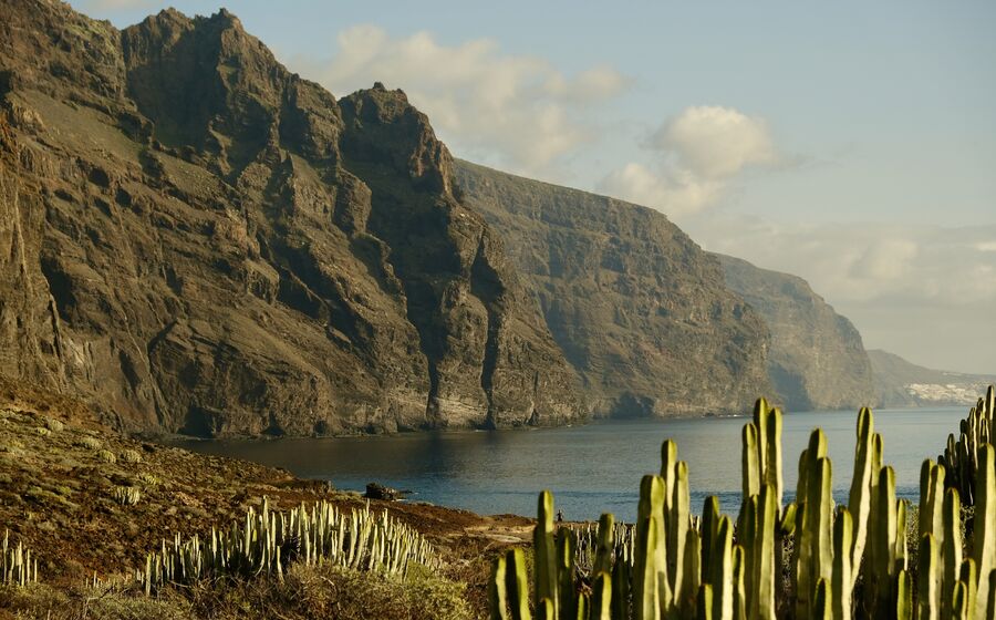 Mulher passeia numa floresta em Tenerife